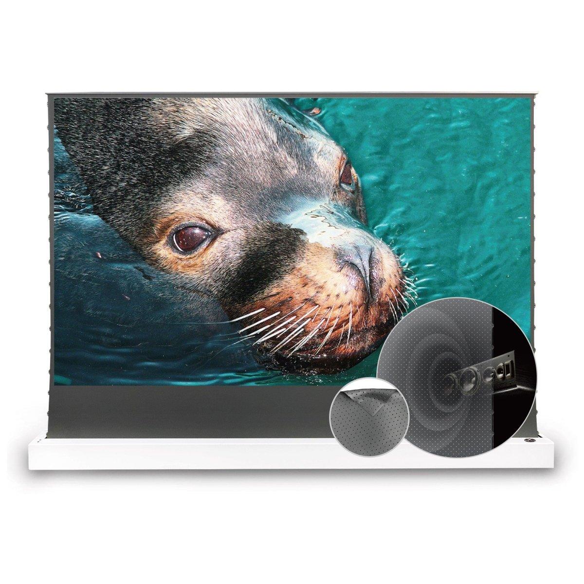 VIVIDSTORM S ALR P Motorized Tension Floor Rising Obsidian Long Throw ALR Perforated Projector screen - VIVIDSTORM