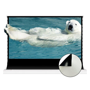 VIVIDSTORM Pearl White Cinema Plus Motorized Tension Floor Rising Projector screen - VIVIDSTORM