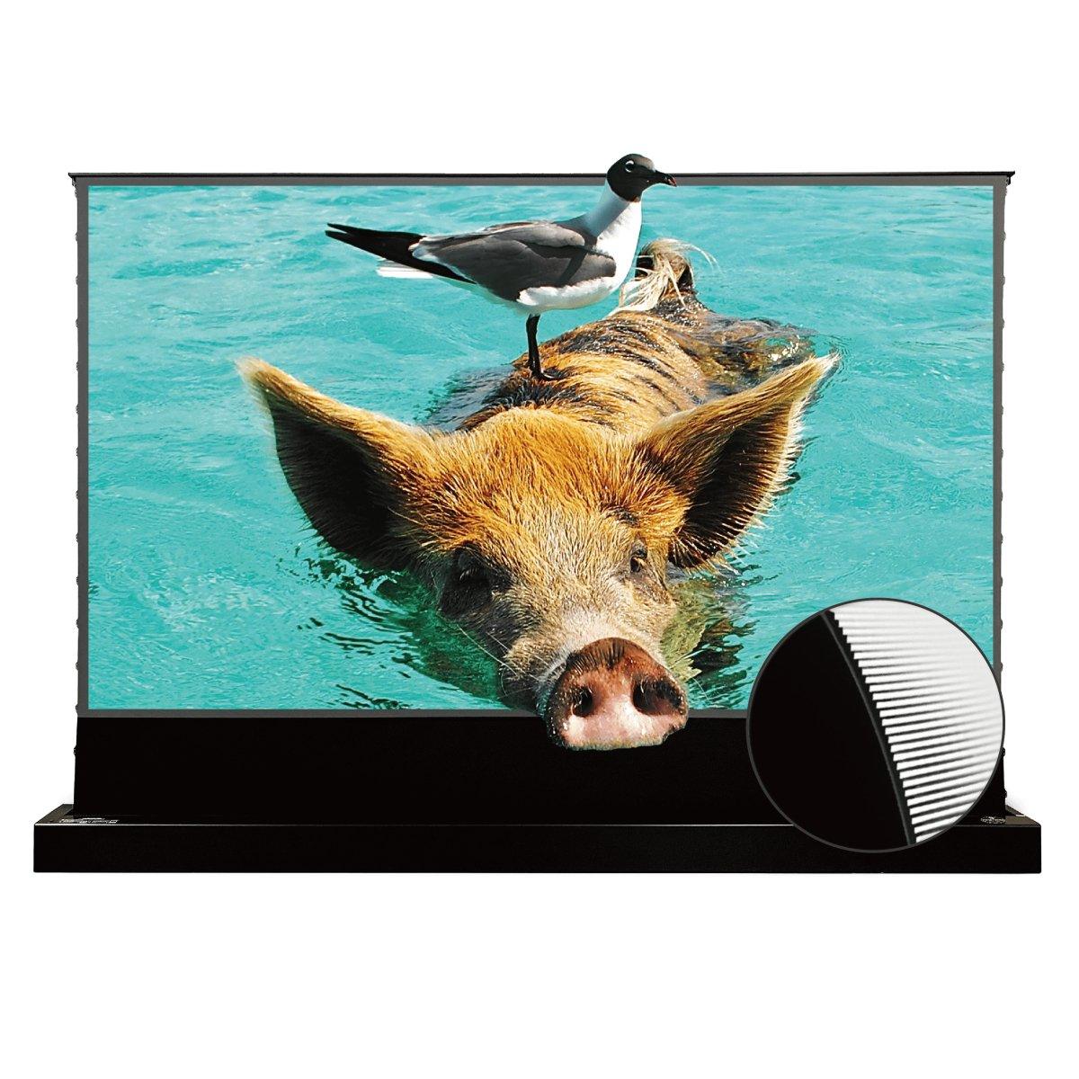 VIVIDSTORM S PRO Motorized Tension Floor Rising UST ALR Projector Screen - VIVIDSTORM