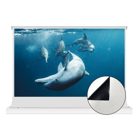VIVIDSTORM S White Cinema Motorized Tension Floor Rising Projector screen - VIVIDSTORM